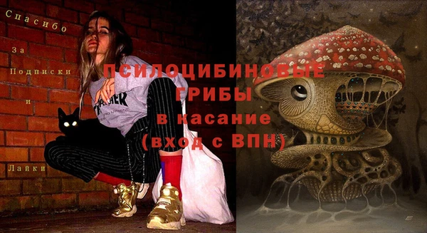 альфа пвп Горнозаводск