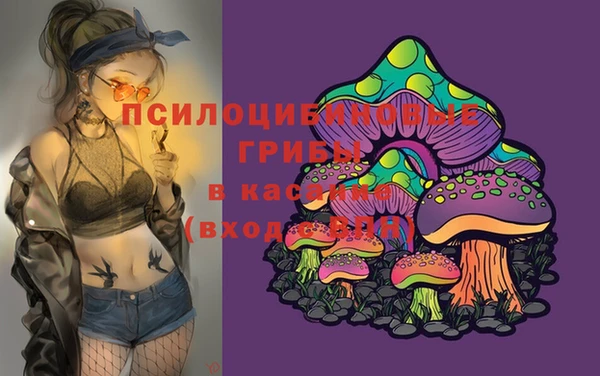 apvp Горно-Алтайск
