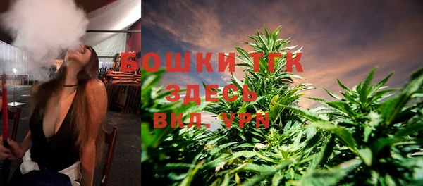 альфа пвп Горнозаводск