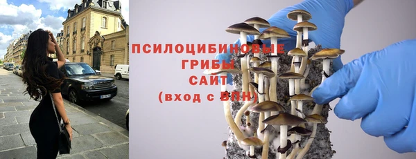 ALPHA PVP Горняк