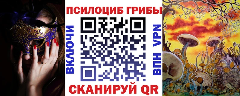 Галлюциногенные грибы мицелий blacksprut вход Чита